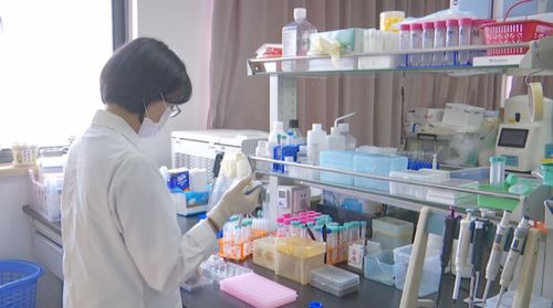 合肥科学岛新发现